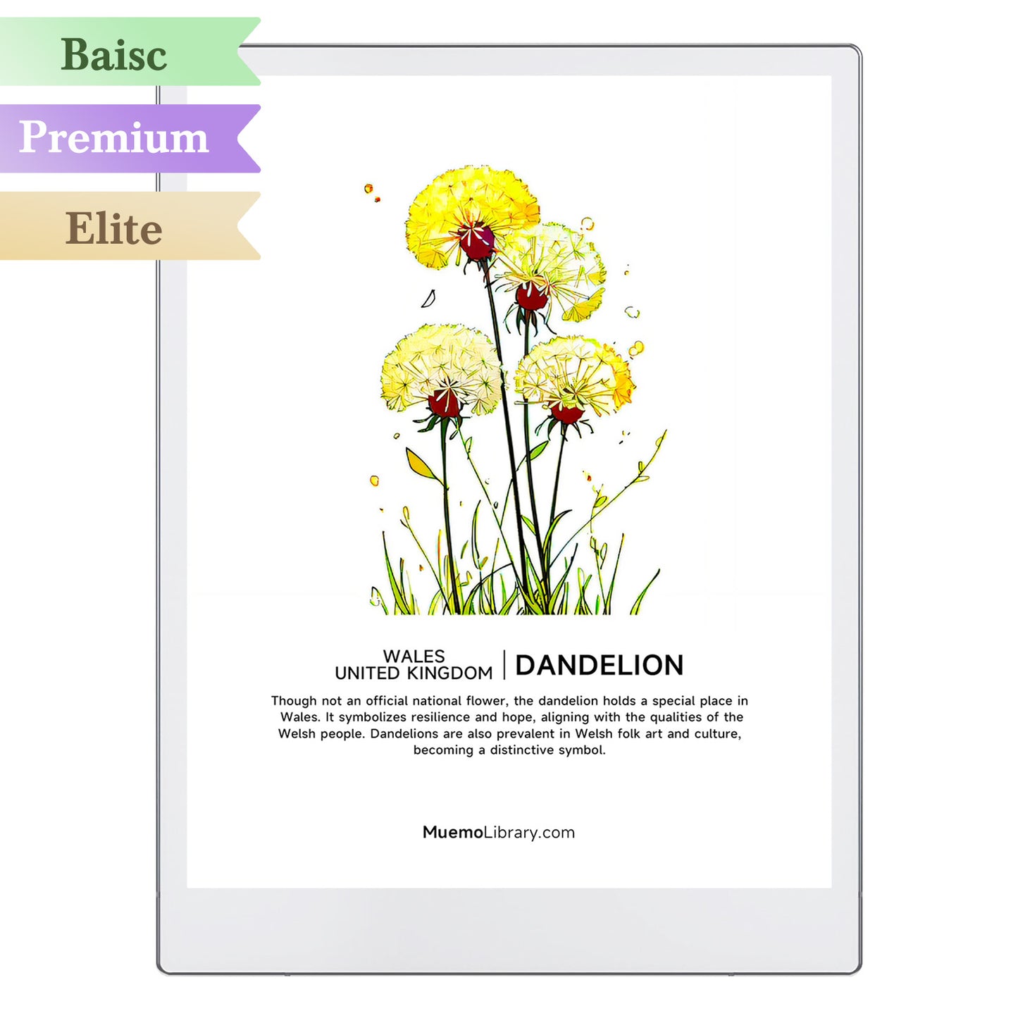 ReMarkable Paper Pro Sleep Screens, Dandelion, 1 PNG