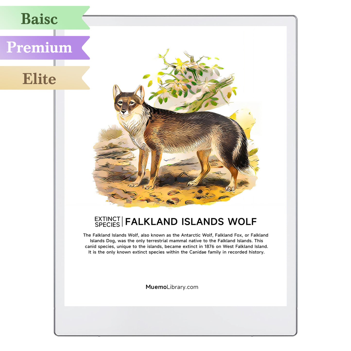 ReMarkable Paper Pro Sleep Screens, FALKLAND ISLANDS WOLF, 1 PNG