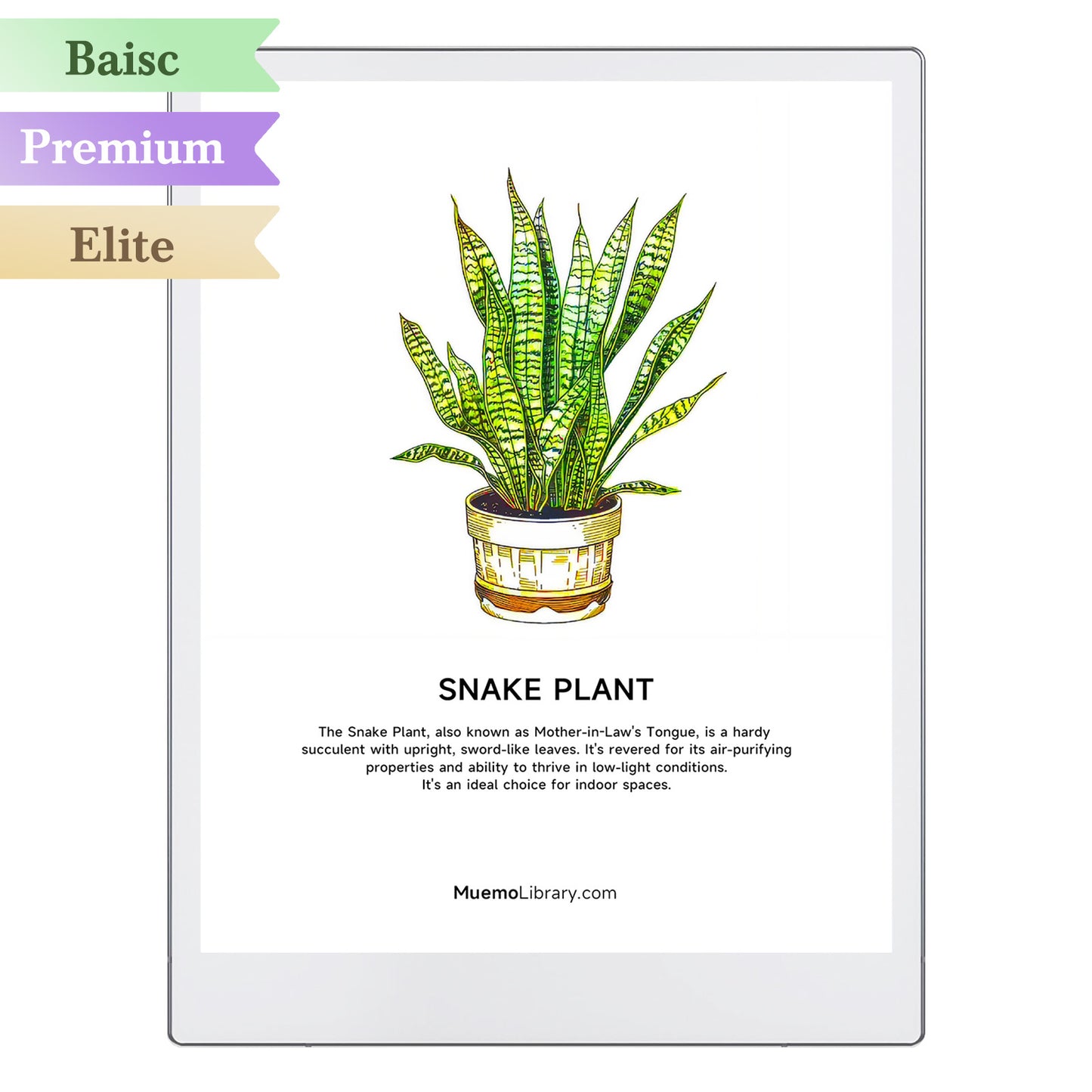 ReMarkable Paper Pro Sleep Screens, Snake Plant, 1 PNG