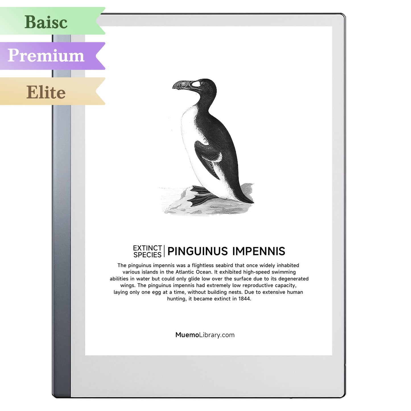 ReMarkable 2 Sleep Screens, PINGUINUS IMPENNIS, 1 PNG