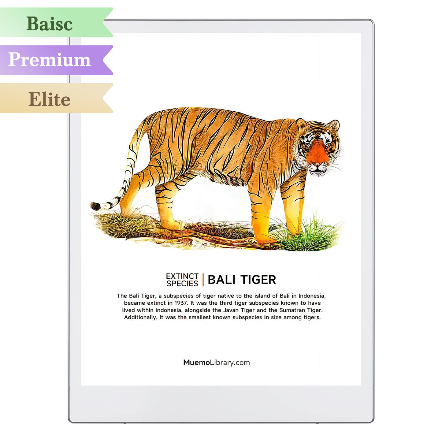 ReMarkable Paper Pro Sleep Screens, BALI TIGER, 1 PNG