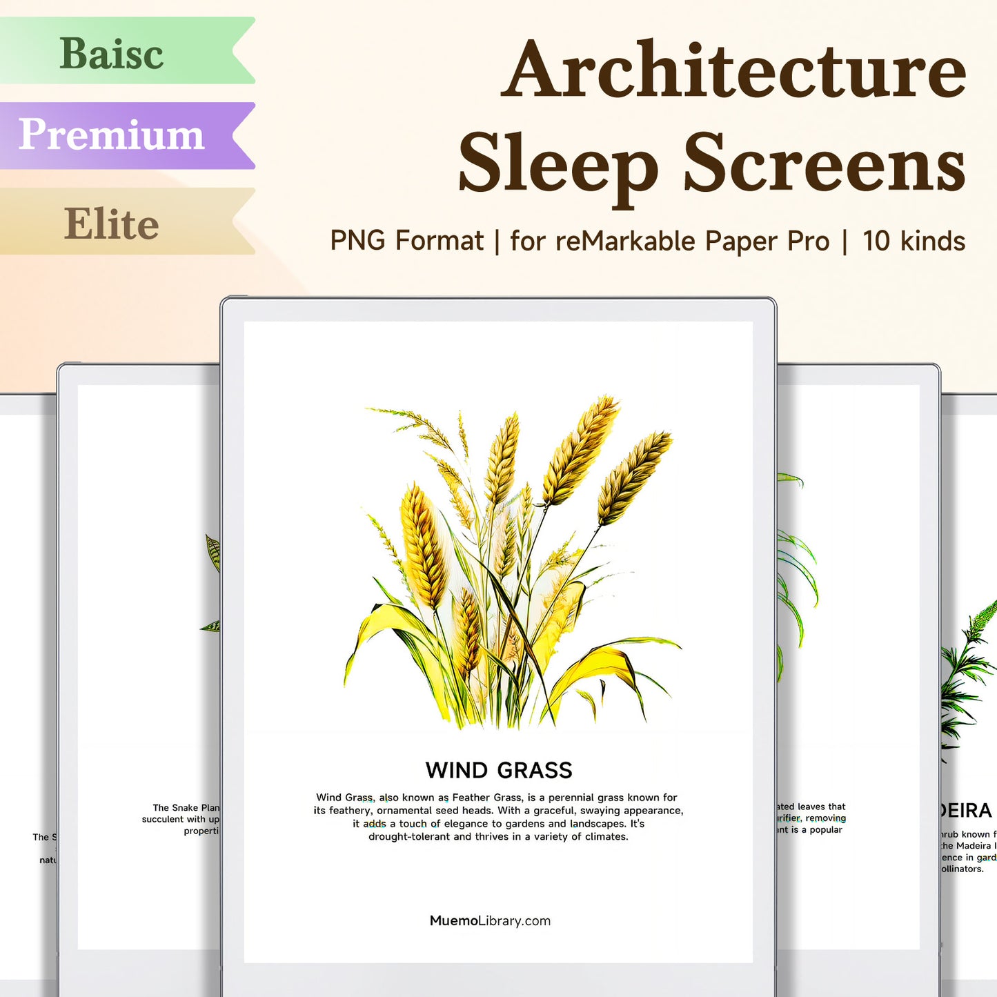 ReMarkable Paper Pro Sleep Screens, 11 PNG Plant