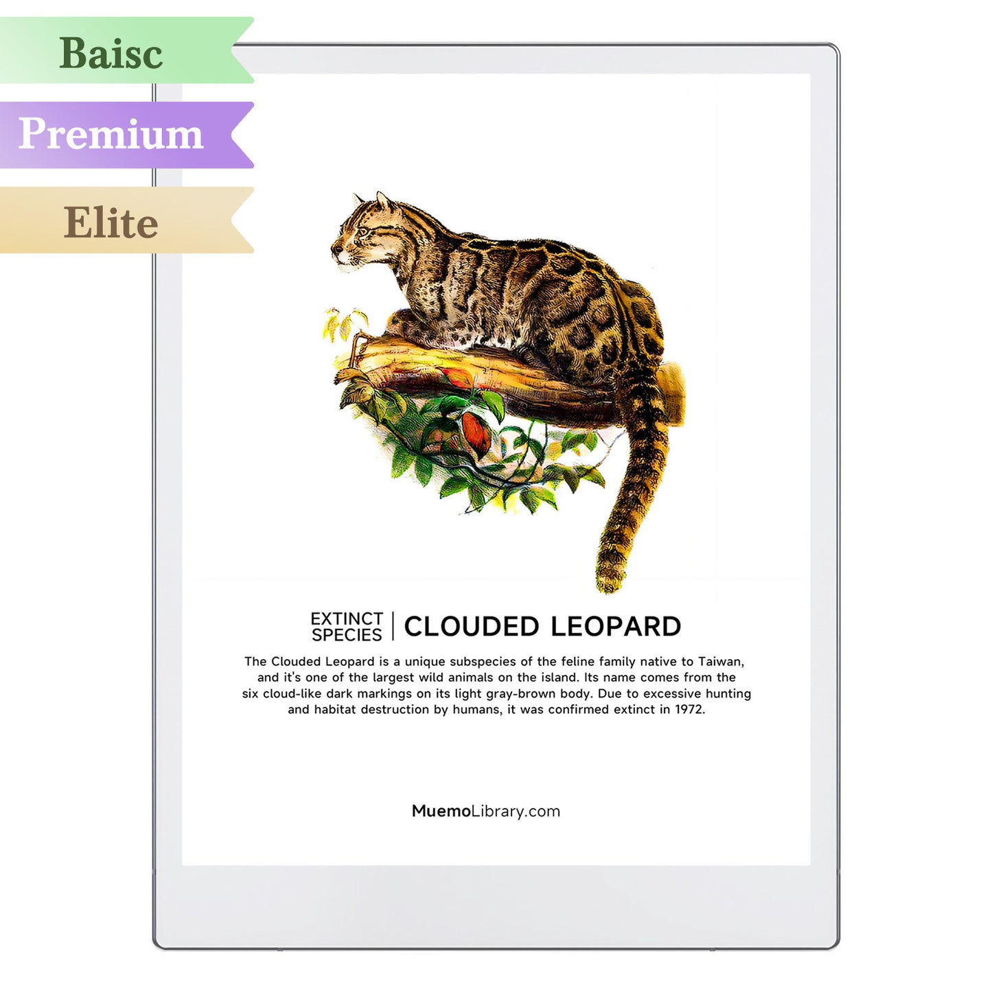 ReMarkable Paper Pro Sleep Screens, CLOUDED LEOPARD, 1 PNG