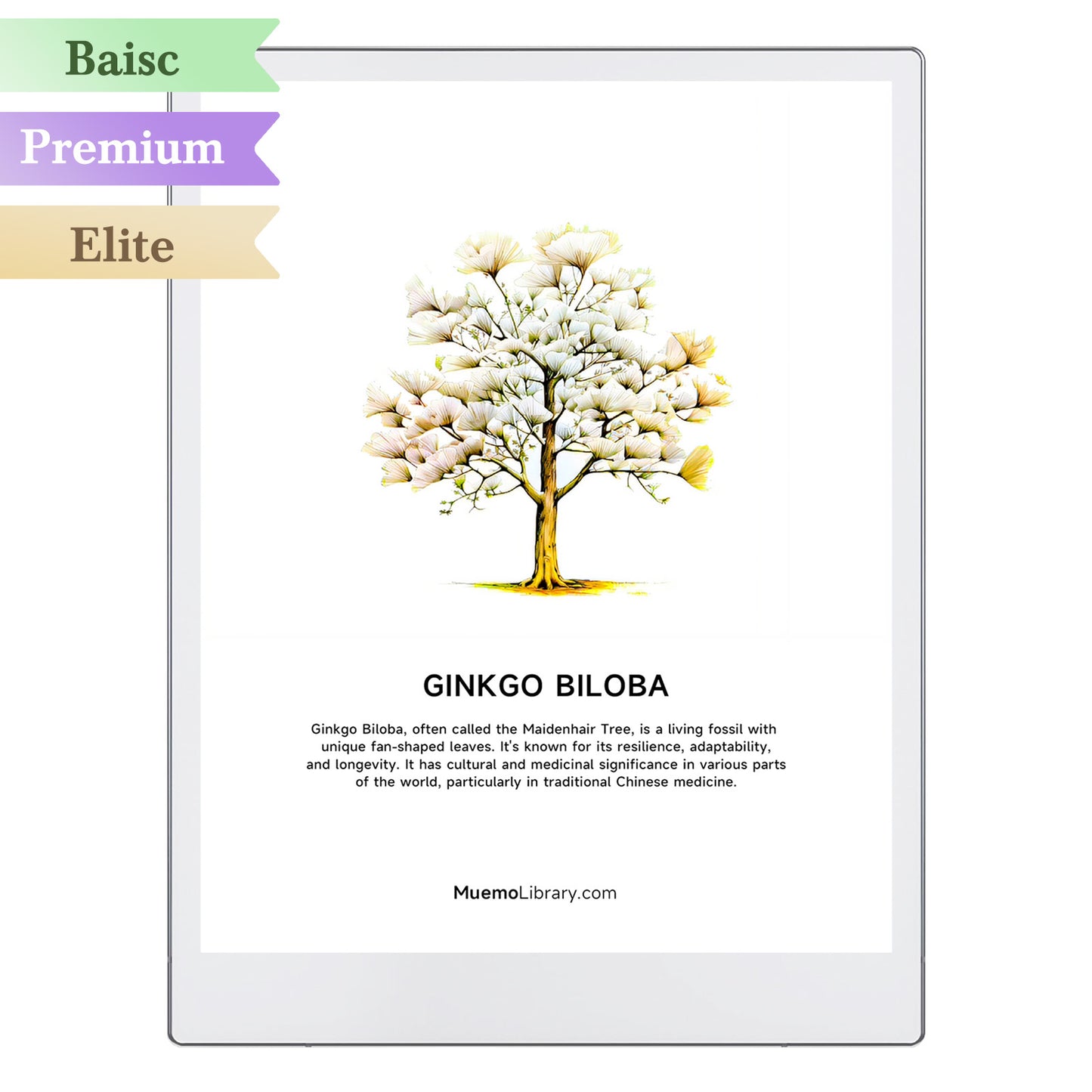 ReMarkable Paper Pro Sleep Screens, Ginkgo Biloba, 1 PNG