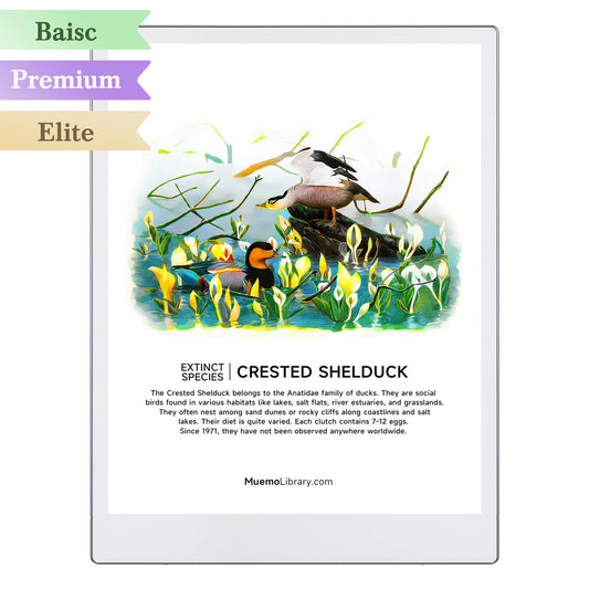 ReMarkable Paper Pro Sleep Screens, CRESTED SHELDUCK, 1 PNG