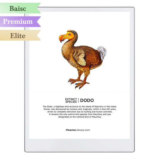 ReMarkable Paper Pro Sleep Screens, DODO, 1 PNG