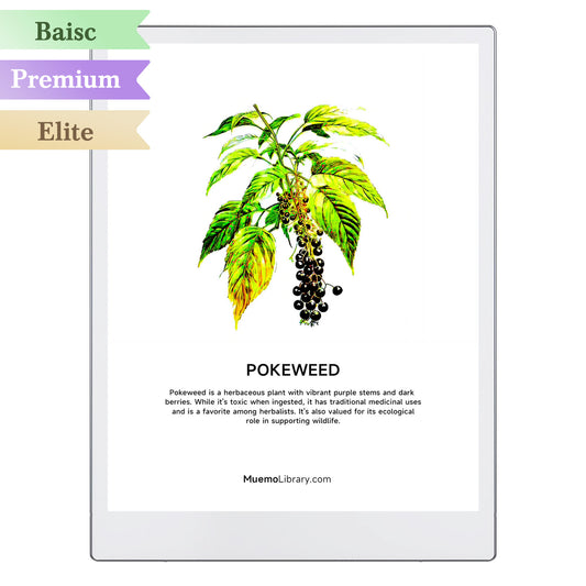 ReMarkable Paper Pro Sleep Screens, Pokeweed, 1 PNG