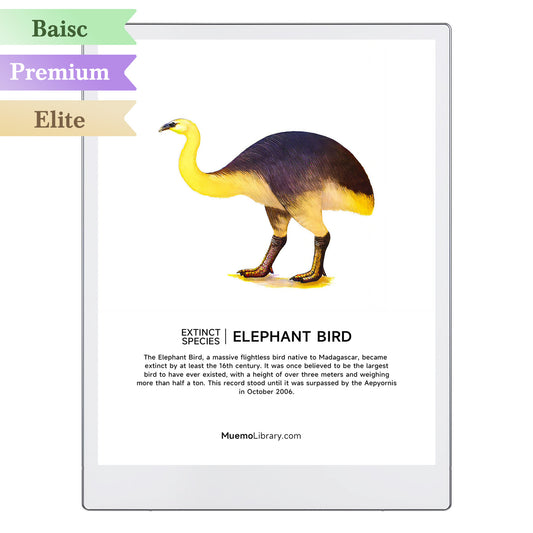 ReMarkable Paper Pro Sleep Screens, ELEPHANT BIRD, 1 PNG