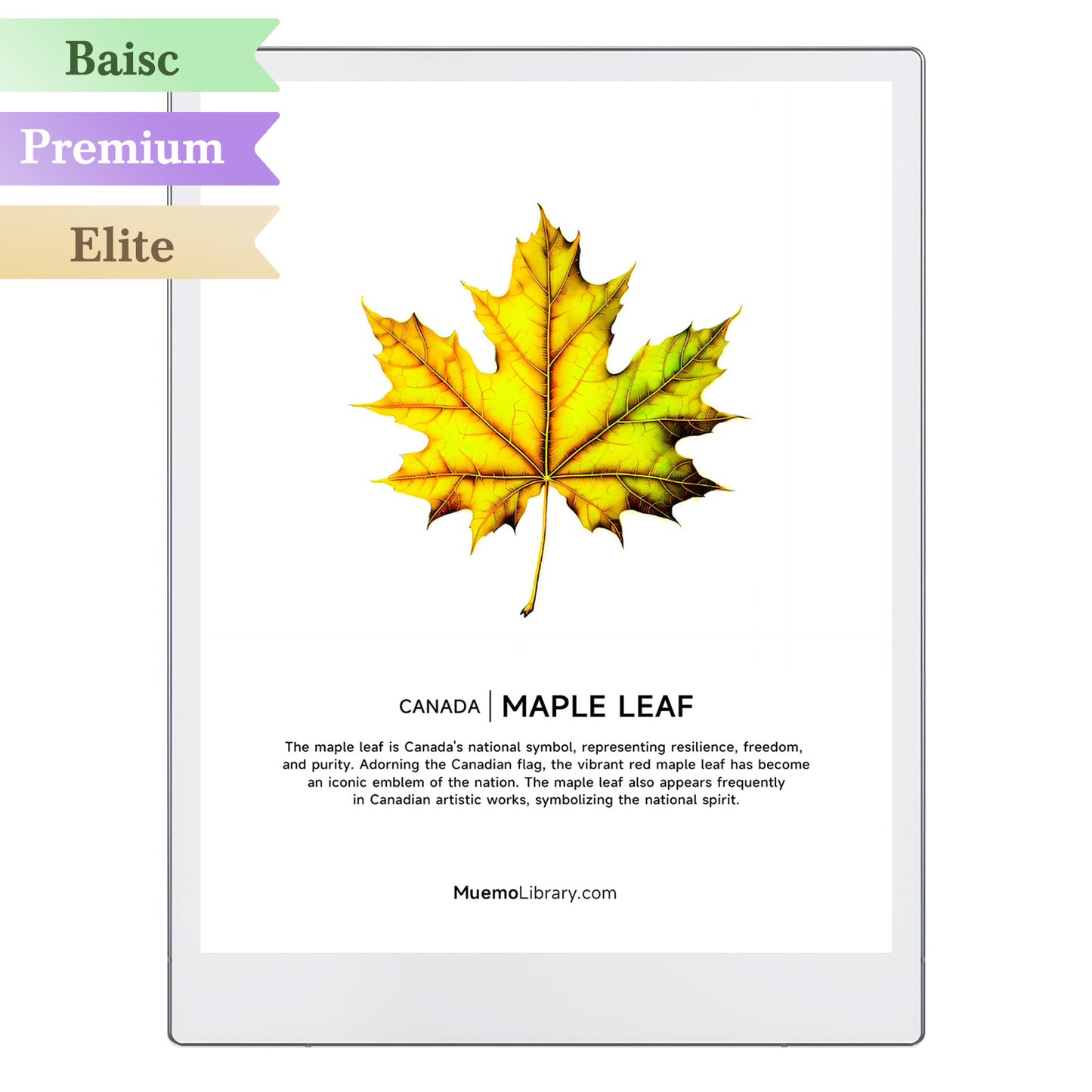 ReMarkable Paper Pro Sleep Screens, Maple Leaf, 1 PNG