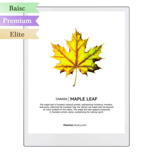 ReMarkable Paper Pro Sleep Screens, Maple Leaf, 1 PNG