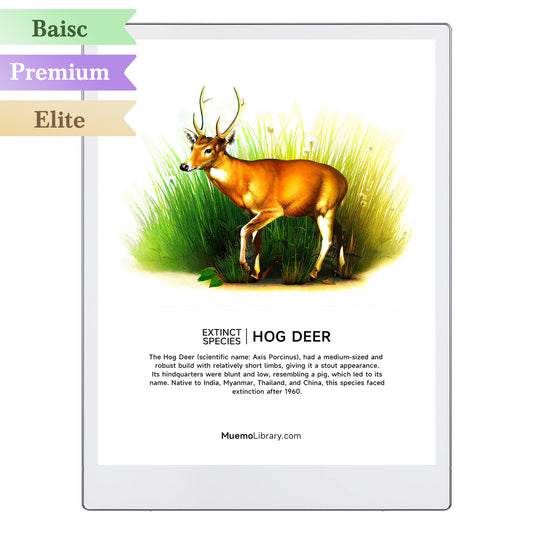 ReMarkable Paper Pro Sleep Screens, HOG DEER, 1 PNG