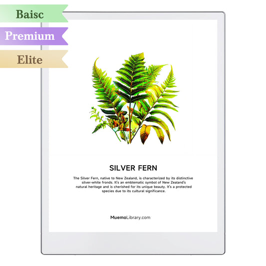 ReMarkable Paper Pro Sleep Screens, Silver Fern, 1 PNG