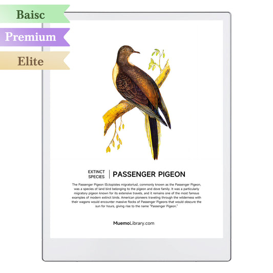 ReMarkable Paper Pro Sleep Screens, PASSENGER PIGEON, 1 PNG