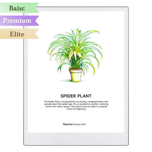 ReMarkable Paper Pro Sleep Screens, Spider Plant, 1 PNG