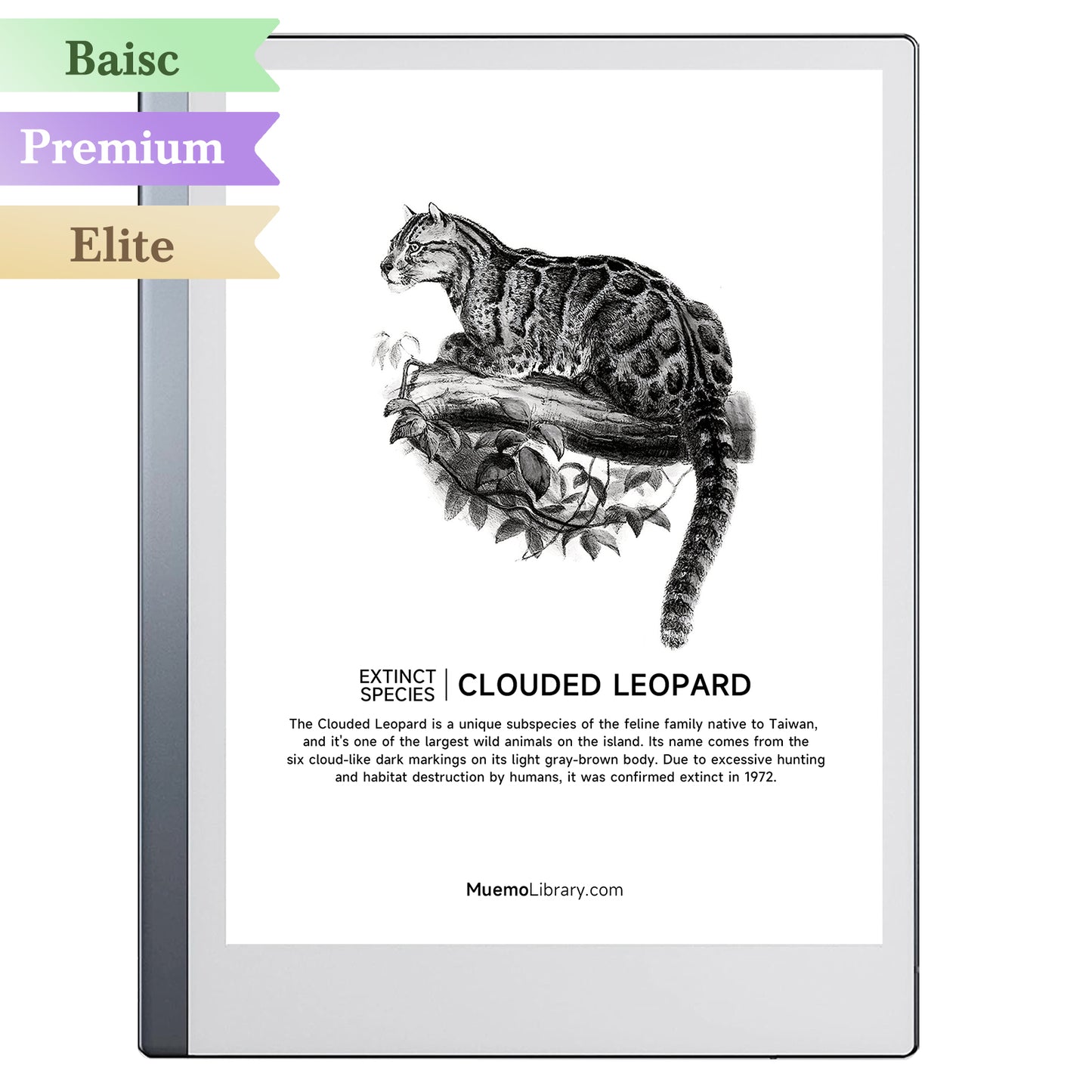 ReMarkable 2 Sleep Screens, CLOUDED LEOPARD, 1 PNG