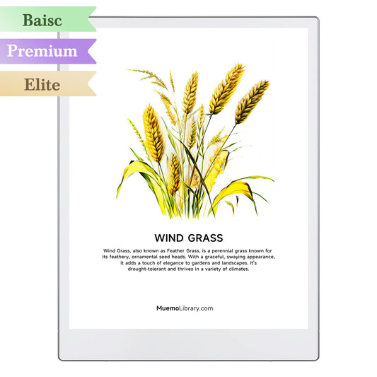 ReMarkable Paper Pro Sleep Screens, Wind Grass, 1 PNG