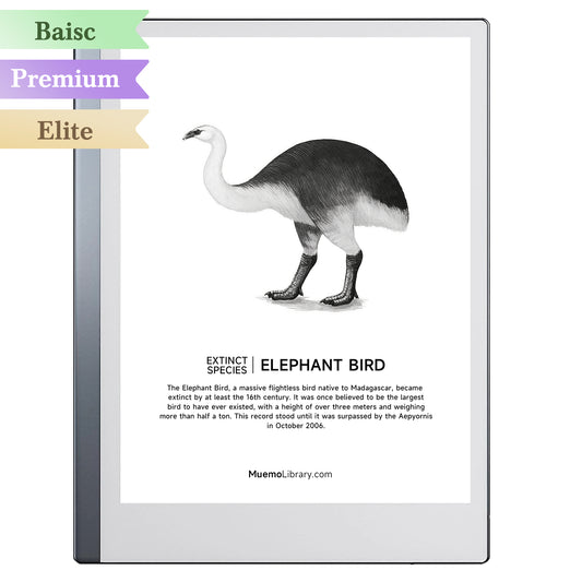 ReMarkable 2 Sleep Screens, ELEPHANT BIRD, 1 PNG