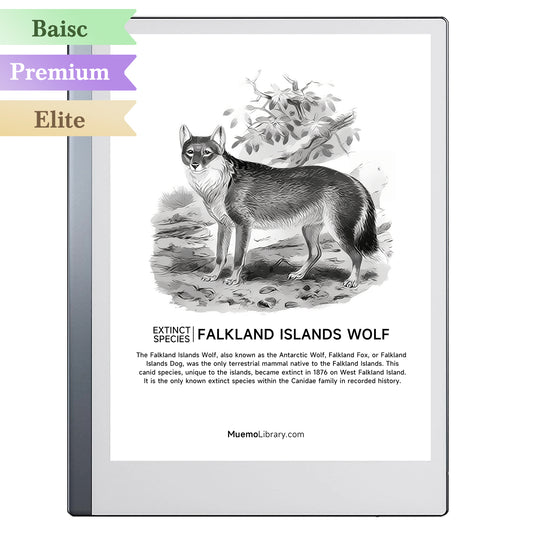 ReMarkable 2 Sleep Screens, FALKLAND ISLANDS WOLF, 1 PNG