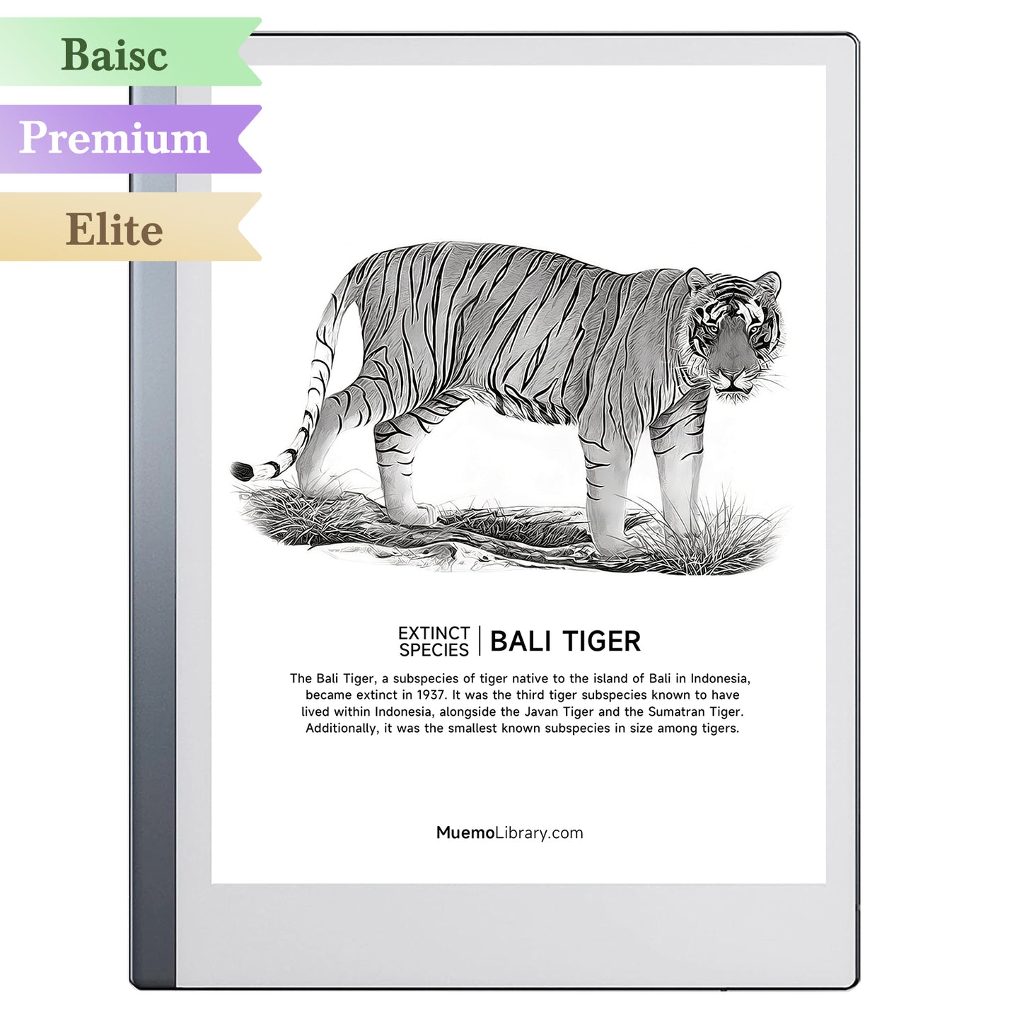 ReMarkable 2 Sleep Screens, BALI TIGER, 1 PNG