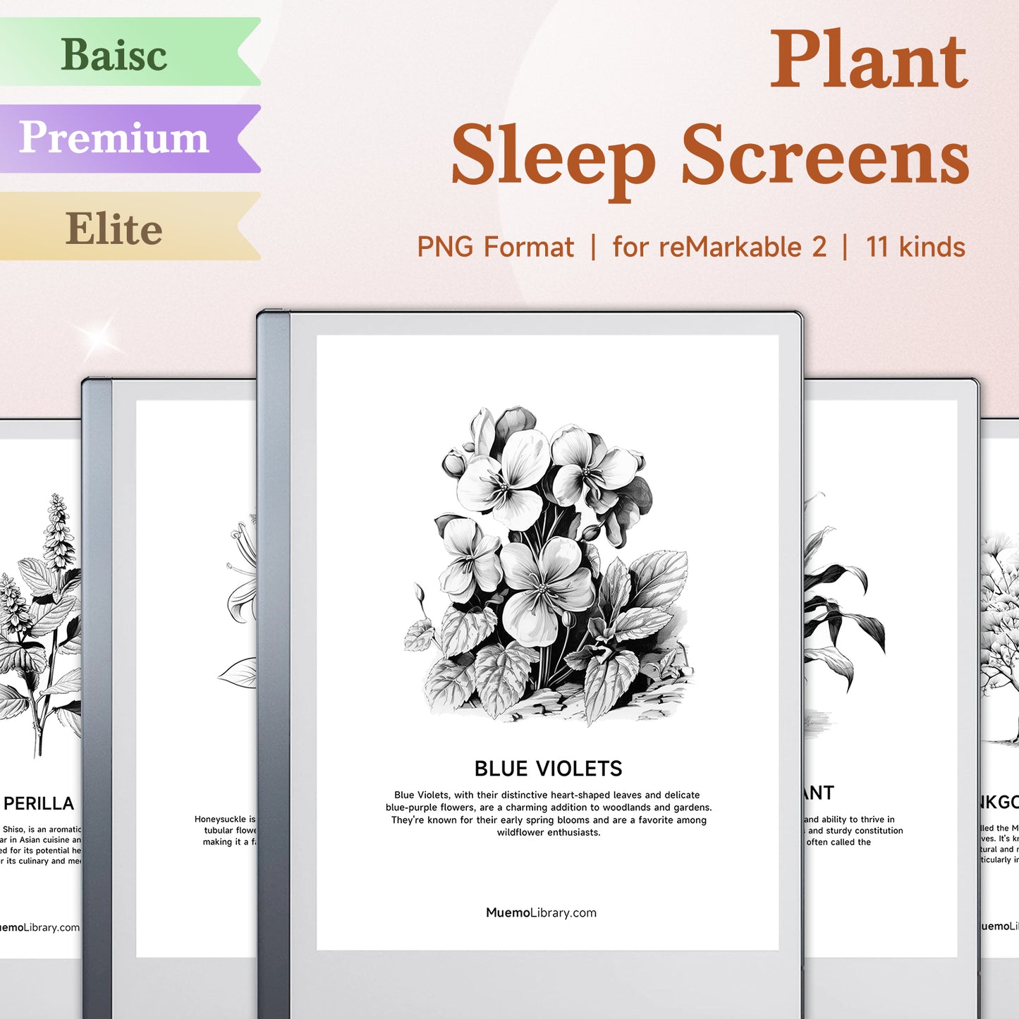 ReMarkable 2 Sleep Screens, 11 PNG Plant