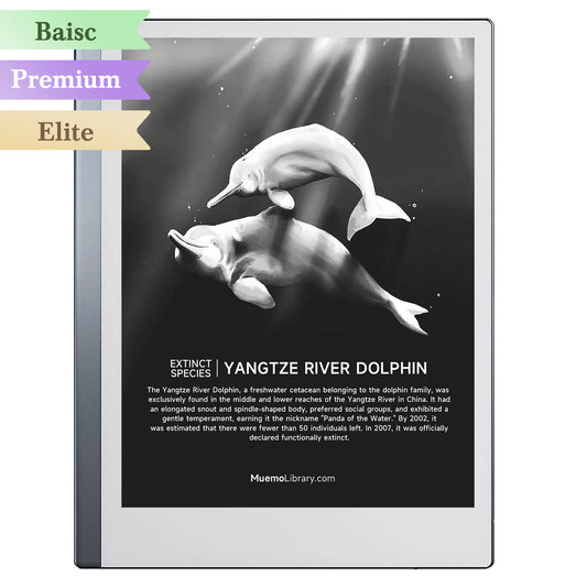 ReMarkable 2 Sleep Screens, YANGTZE RIVER DOLPHIN, 1 PNG